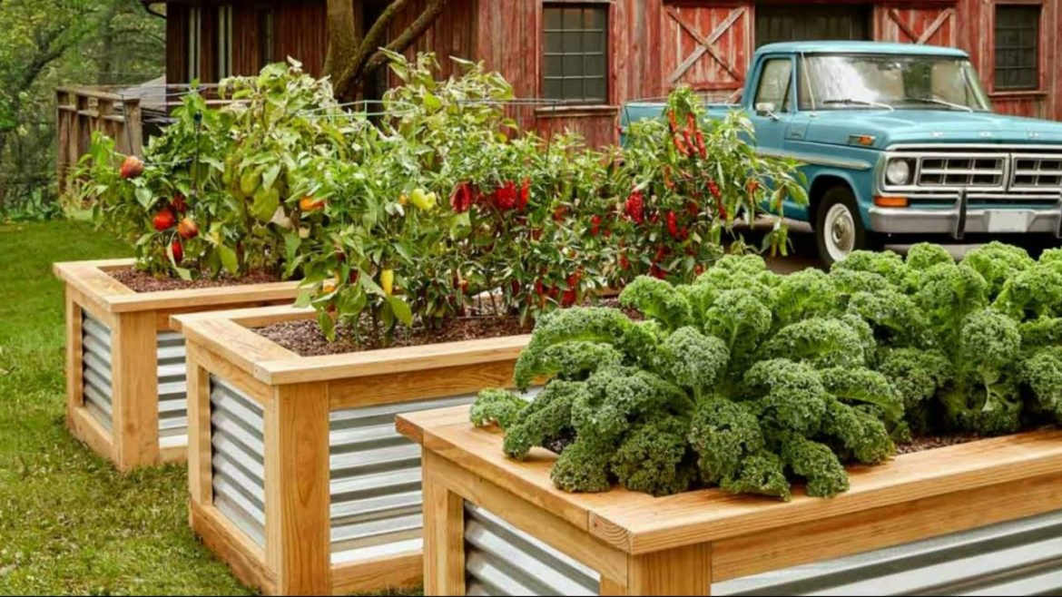 77 Amazing Ideas For Growing A Vegetable Garden On Your Backyard | Garden Ideas