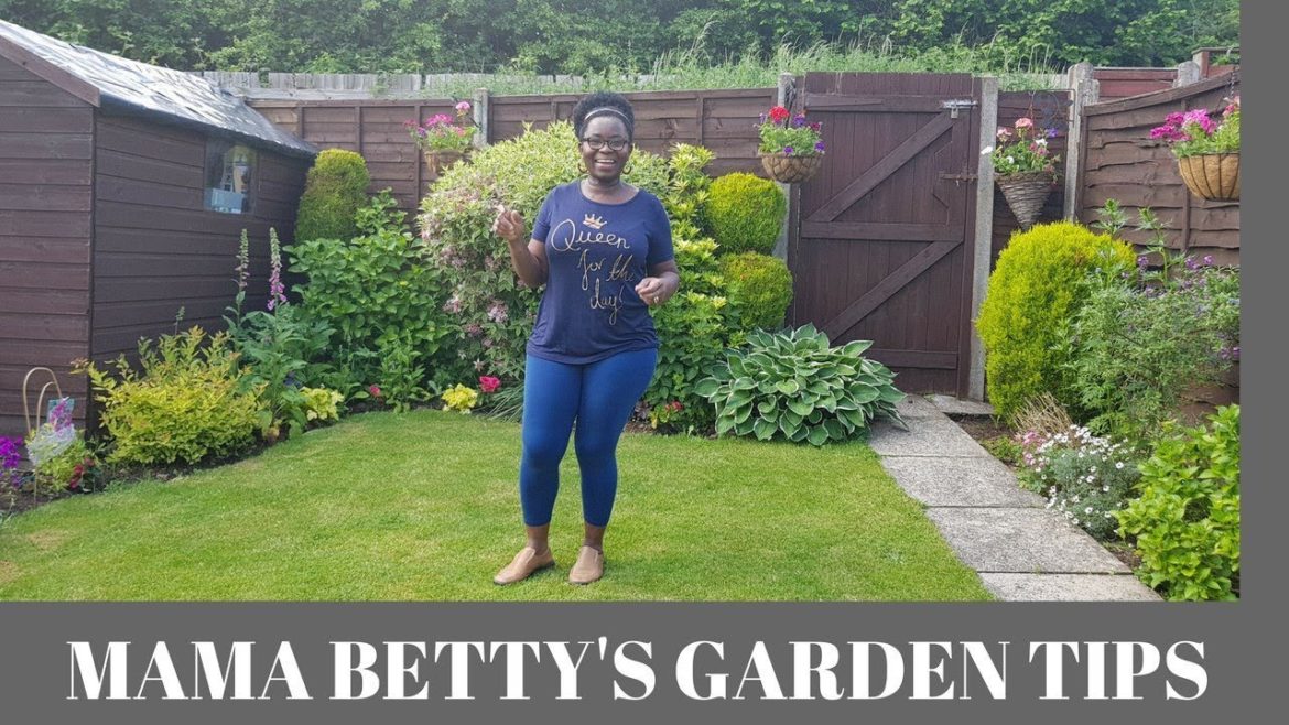 Basic Garden tips - EP1: Things to consider before starting your garden.