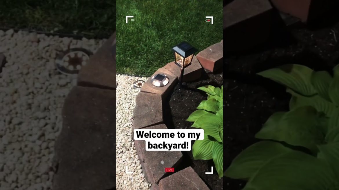 BACKYARD GARDEN LANDSCAPE DESIGN IDEAS #SHORTS