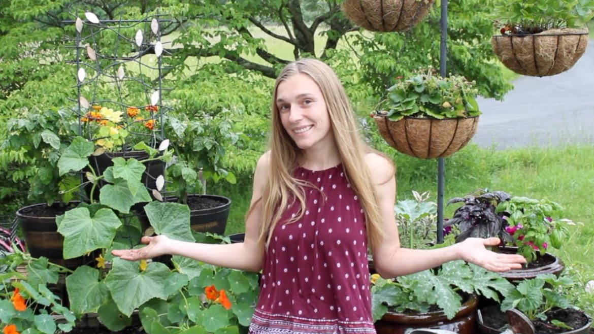 Starting an Edible Container Garden Starting an Edible Container Garden