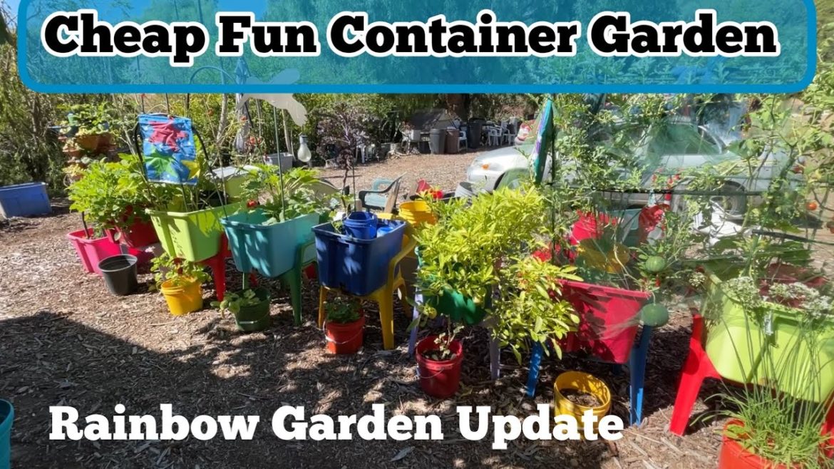 Container Gardening Vegetables Tomatoes Squash Watermelon Elevated Raised Bed Garden Cheap Container Gardening Vegetables Tomatoes Squash Watermelon Elevated Raised Bed Garden Cheap