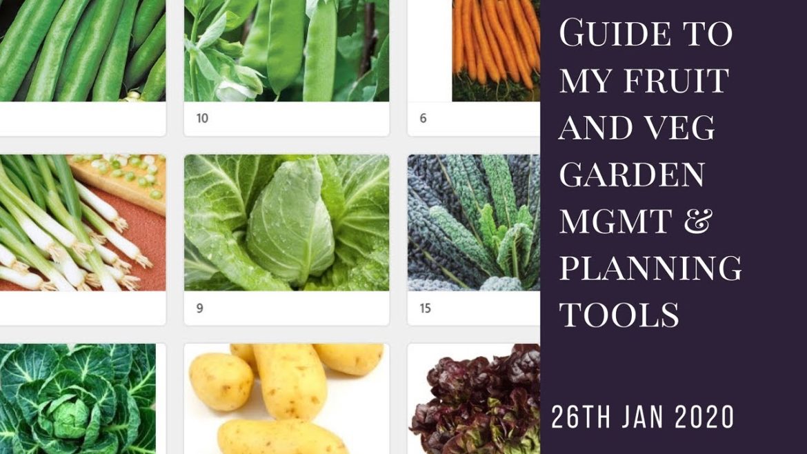 User guide for my fruit and vegetable gardening database (part 2)