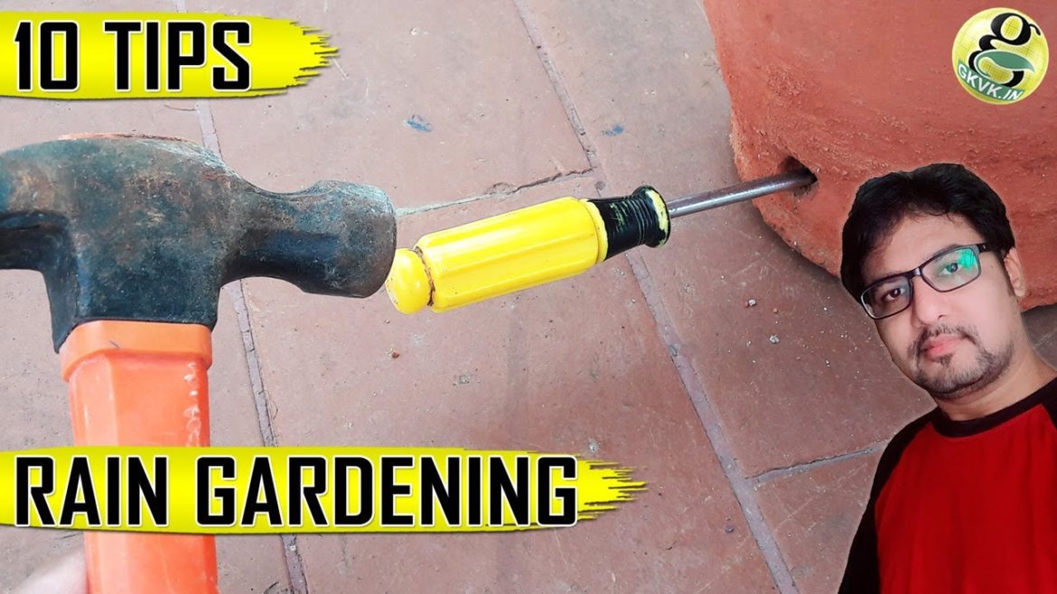 RAINY SEASON GARDENING IDEAS & TIPS – 10 Hacks to Save Plants RAINY SEASON GARDENING IDEAS & TIPS – 10 Hacks to Save Plants