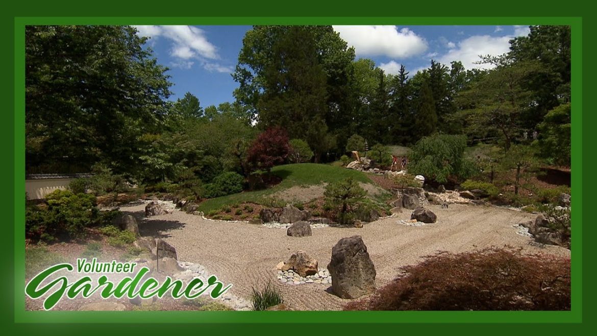 Blevins Japanese Garden | Volunteer Gardener Blevins Japanese Garden | Volunteer Gardener