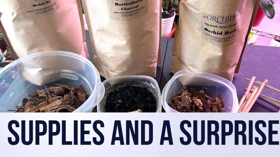 Orchid Supplies and a Surprise Orchid supplies and a Surprise #orchidsupplystore Orchid Supplies and a Surprise Orchid supplies and a Surprise #orchidsupplystore