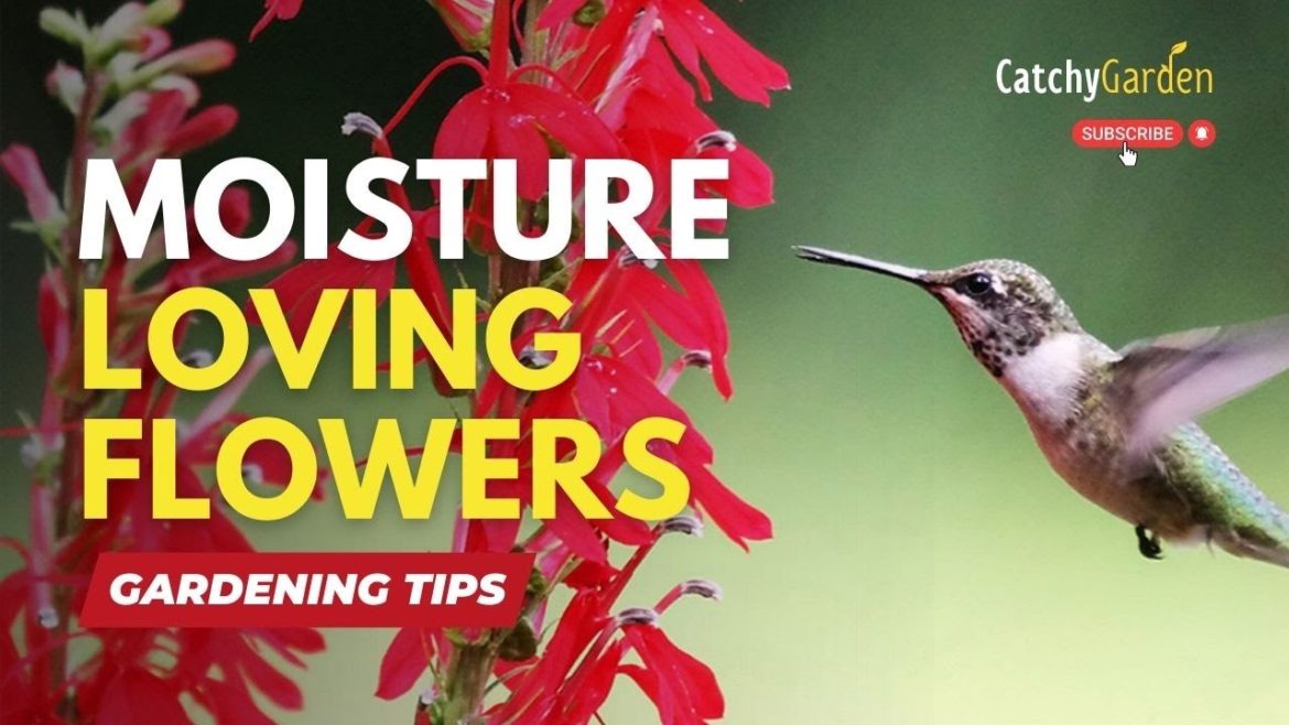 The 7 Most Beautiful Blooms to Grow in Damp Ground 🌷☘️🌺 The 7 Most Beautiful Blooms to Grow in Damp Ground 🌷☘️🌺