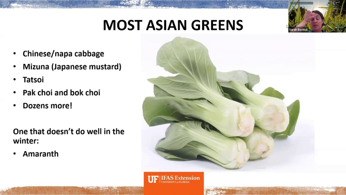 Edible Gardening: Winter Greens (webinar series)