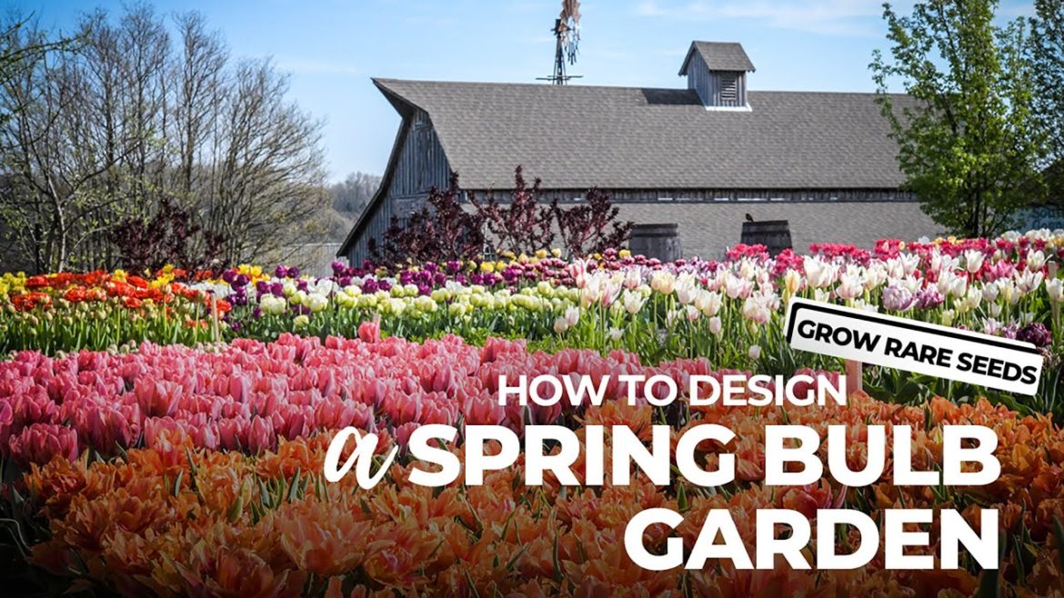 How To Design a Spring Bulb Garden How To Design a Spring Bulb Garden