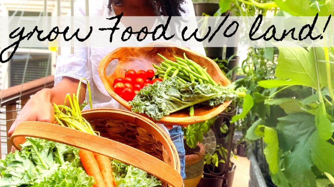 Vegetable Gardening on a Small Balcony | Over 150 Vegetables on a Deck Vegetable Gardening on a Small Balcony | Over 150 Vegetables on a Deck