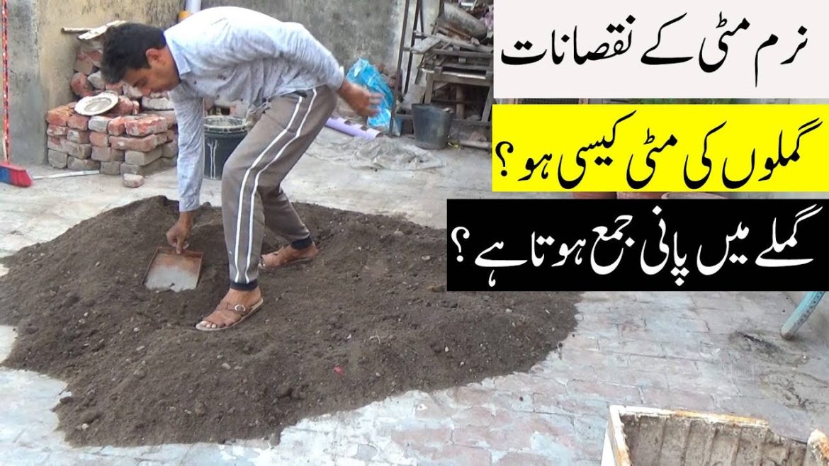 Container Gardening Ke Lye Miti Ktni Soft Ho? Soft and Well Drained Soil for Container Plants