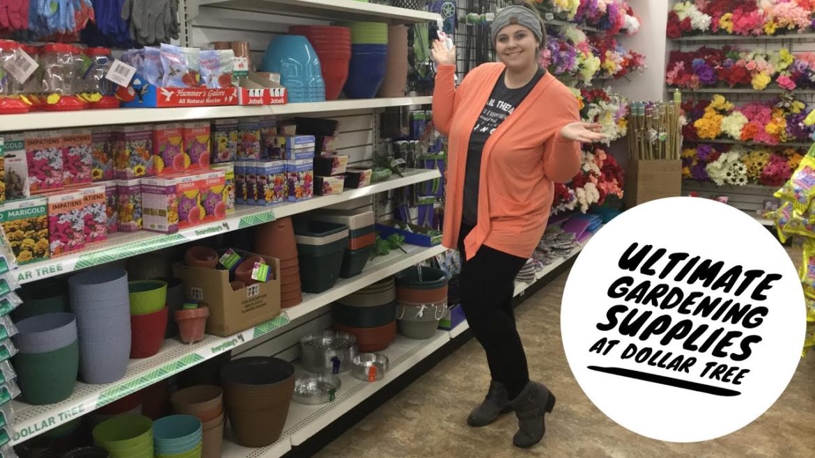 GARDEN SUPPLIES AT DOLLAR TREE | Spring 2020 | Cheap | Gardening on a budget!