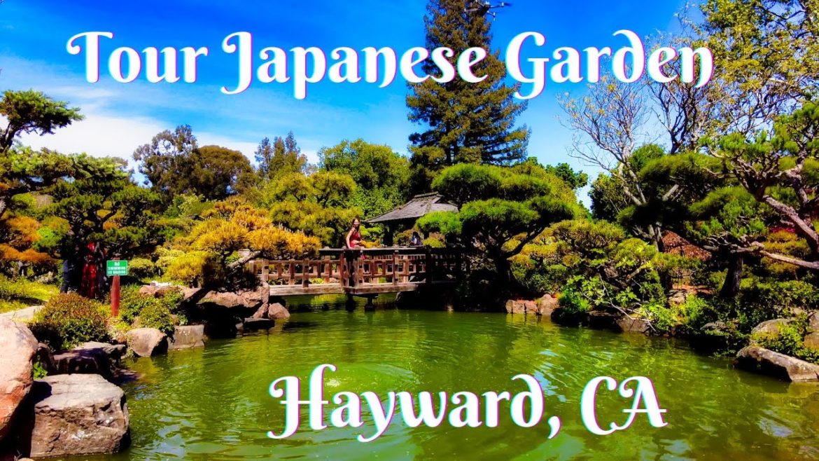 The best Japanese Garden in Hayward, California