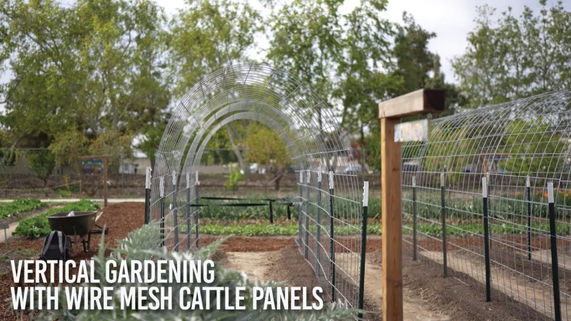How To - Easy Vertical Gardening With Cattle Panels