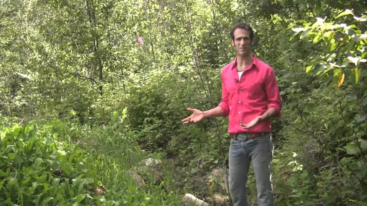 Edible Forest Gardening - Garden Mound