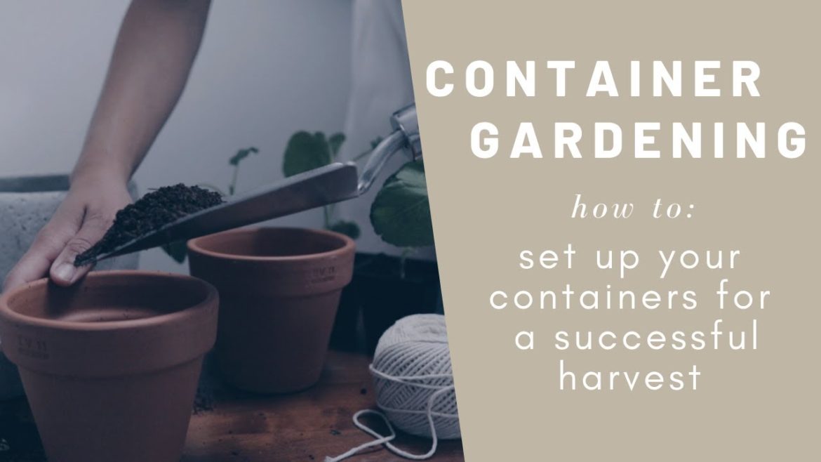 container gardening for beginners: 5 easy tips for apartment gardeners + free downloadable guide