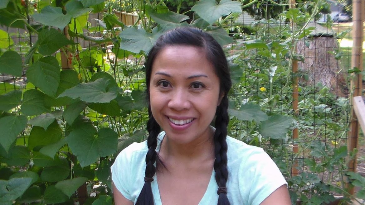 Fall and Winter Garden Plans, Pacific Northwest Garden Mom Fall and Winter Garden Plans, Pacific Northwest Garden Mom