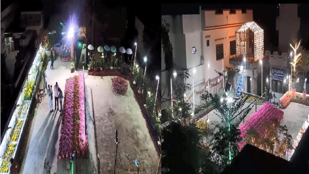 Rooftop Gardening Ideas | How to Make your Home Beautiful with Flowers and Garden