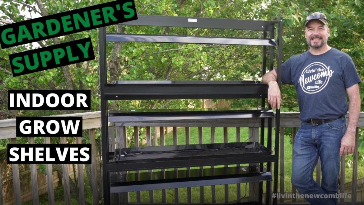 Best Grow Light for Indoor Plants – Gardener's Supply Company 3-Tier Garden Shelf #69 Best Grow Light for Indoor Plants - Gardener's Supply Company 3-Tier Garden Shelf #69