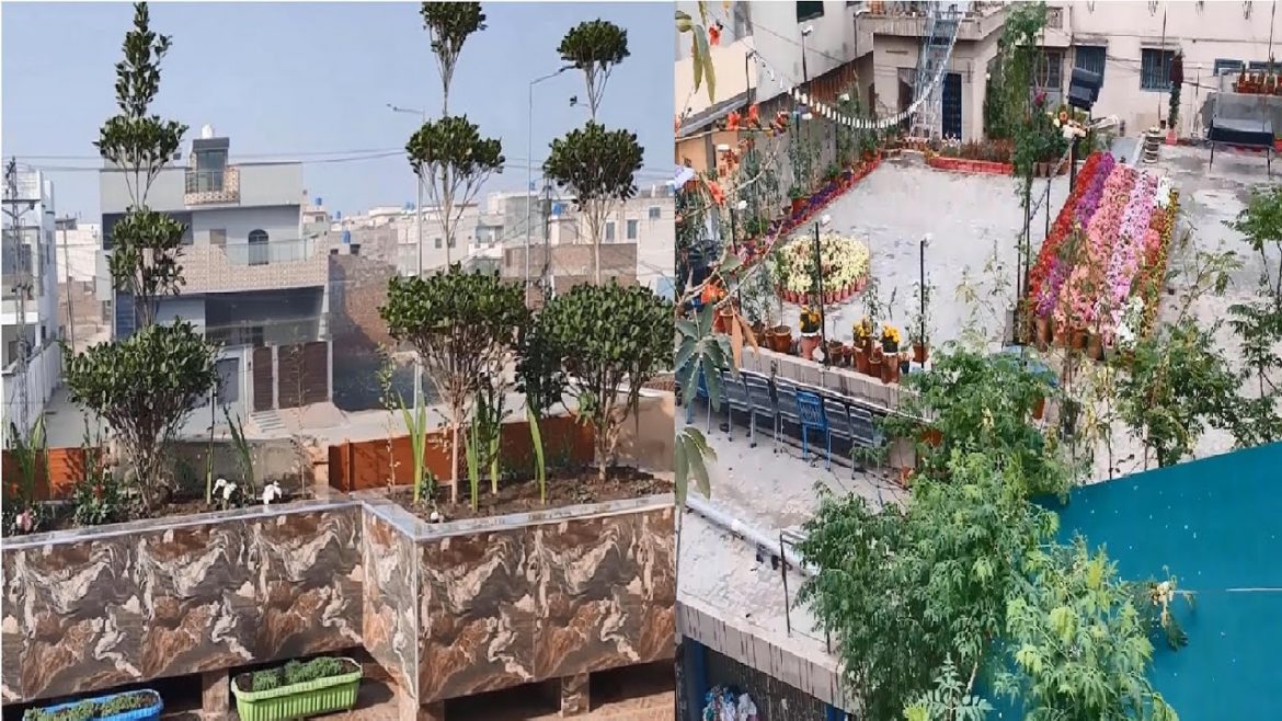 How to do Rooftop & Terrace Gardening in Pakistan | Green Roof Gardening Ideas at Home