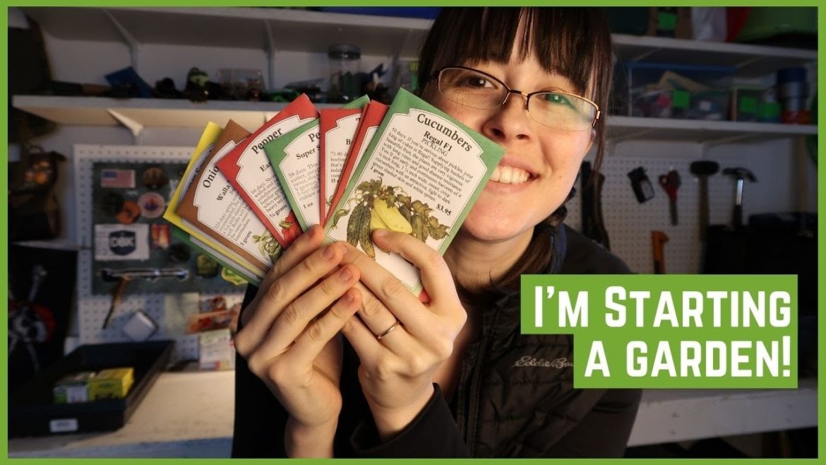 Garden Plans for 2021 - My Low Budget Set Up