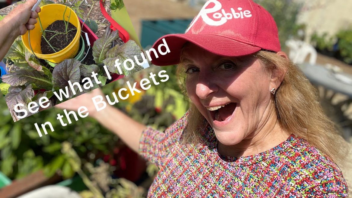 Container Garden Vlog WOW Worm Farm 1000's from Nowhere? Build it & THEY WILL COME! Compost in Place