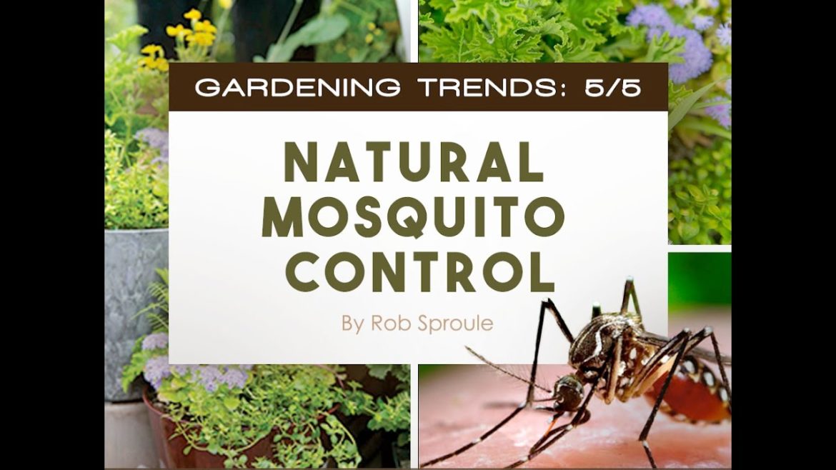 Gardening Trends 2017, 5/5: Natural Mosquito Control | Salisbury Greenhouse