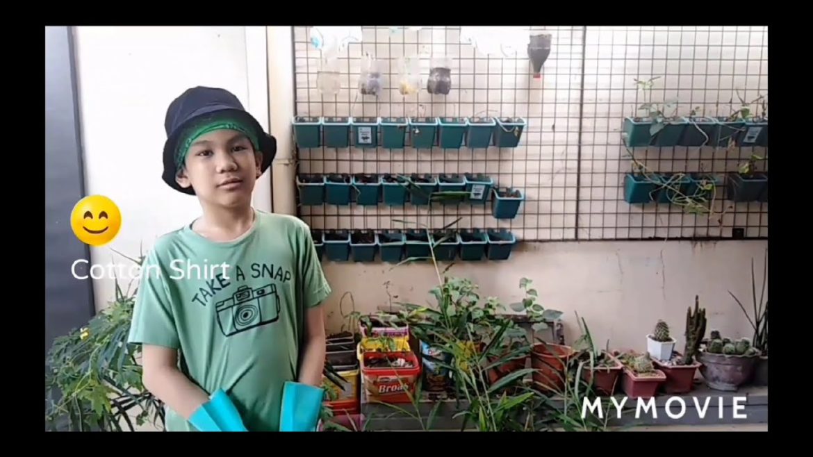 Vegetable Gardening for Beginners