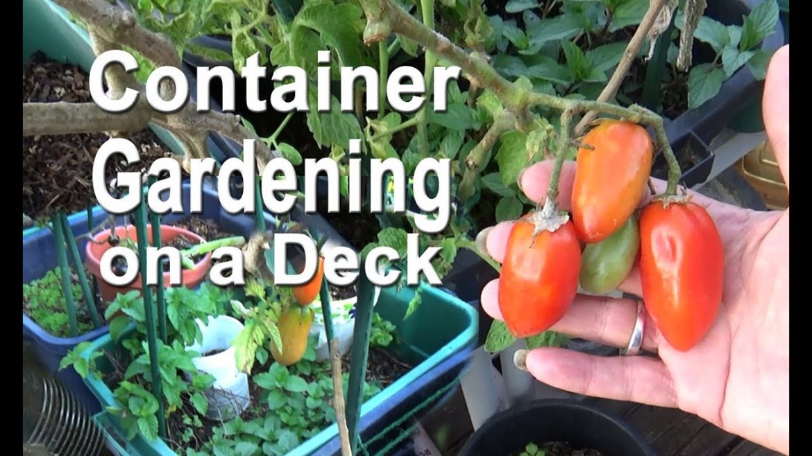 Patio & Deck Raised Bed Container Gardening Grow Vegetable Garden Food Small Spaces Tomatoes Herbs