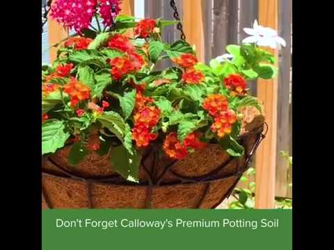 How to Make a Hanging Basket Container Garden How to Make a Hanging Basket Container Garden