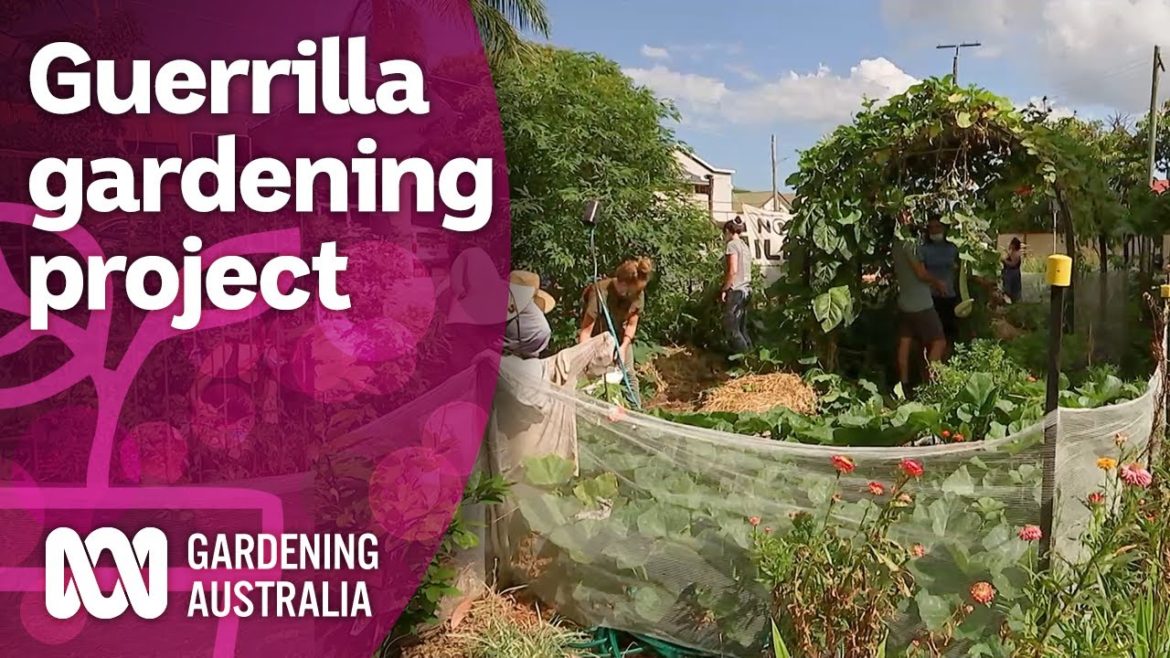 A guerrilla gardening group growing produce during the pandemic | Discovery | Gardening Australia A guerrilla gardening group growing produce during the pandemic | Discovery | Gardening Australia