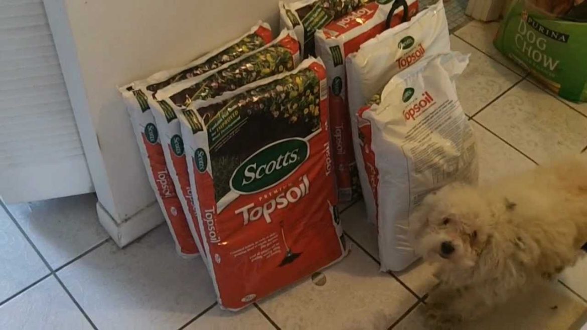 Make free DIY self watering grow bag for vegetable gardening  Larry Hall inspired.