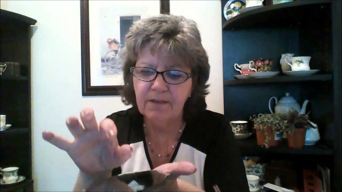 Dollar Tree Haul and Fairy Garden plans june 23rd