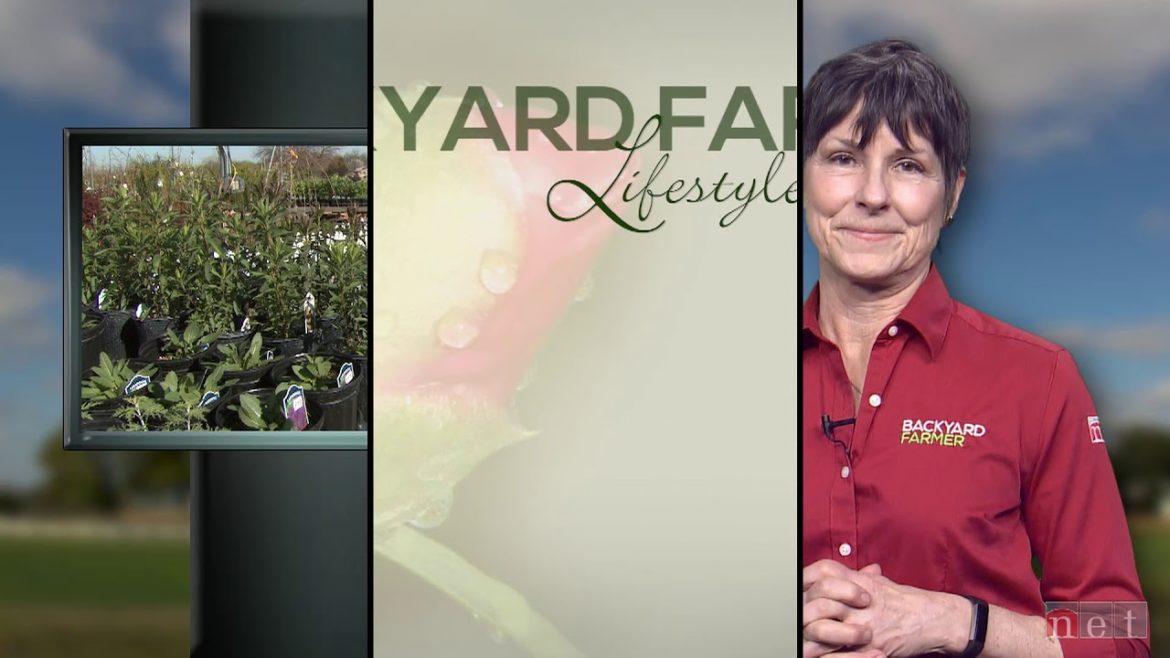 Lifestyle Gardening: Landscape Grading Drainage & More