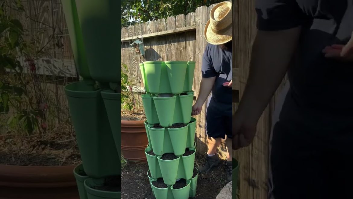 The Best Fall Vegetable to Grow The Best Fall Vegetable to Grow