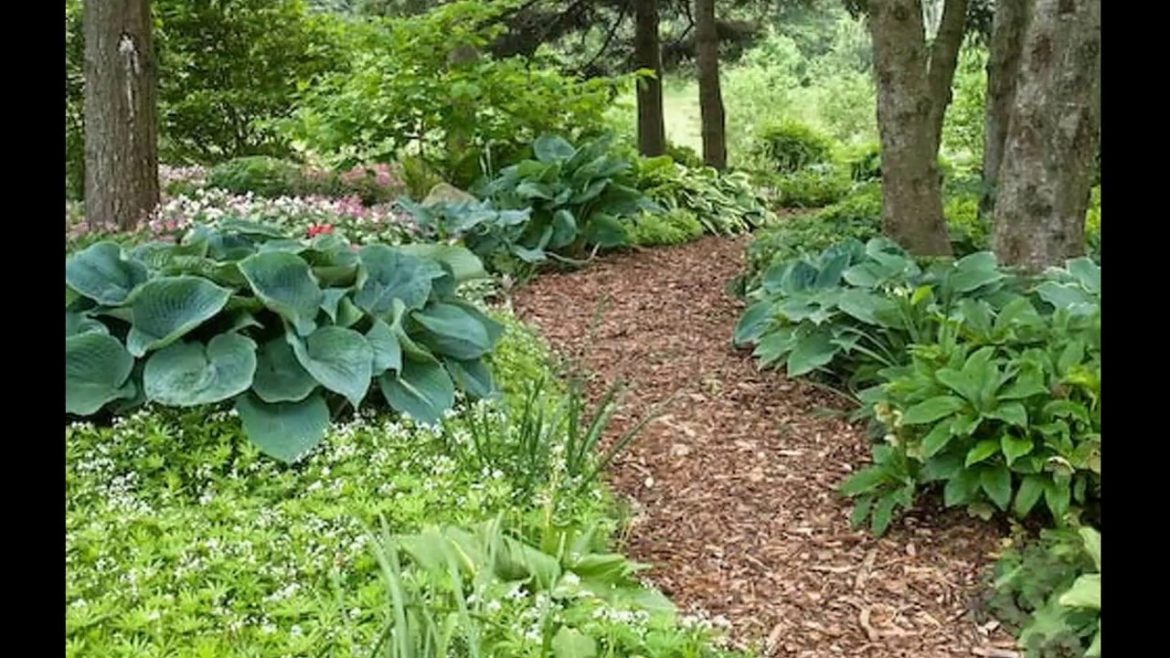 Shade garden design ideas