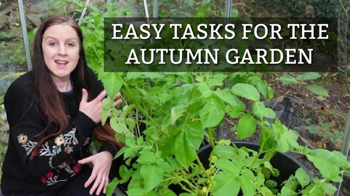 EASY Autumn Tasks for A Productive Vegetable Garden EASY Autumn Tasks for A Productive Vegetable Garden