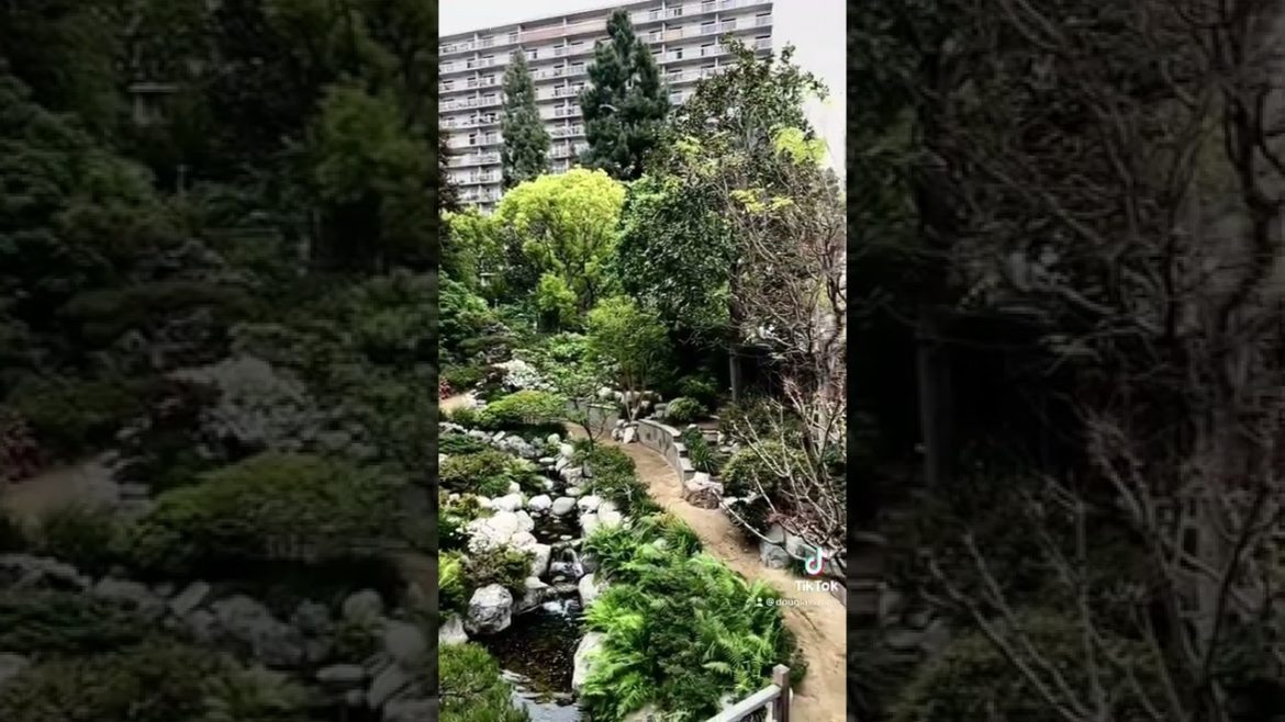 Places LA: James Irvine #Japanese #Garden at JACCC, Little Tokyo, Los Angeles