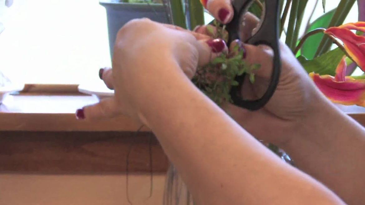 Gardening Tips : How to Harvest & Store Thyme Gardening Tips : How to Harvest & Store Thyme