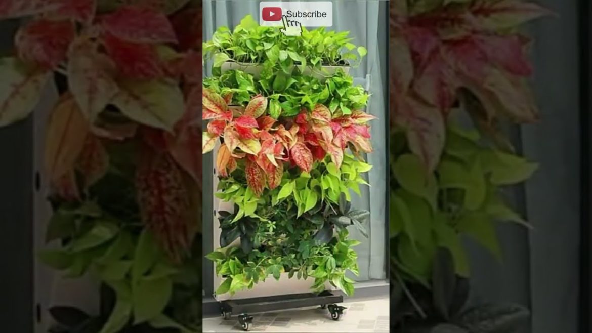 Beginner Gardening | Hanging Flower Pot #shorts #ytshorts Beginner Gardening | Hanging Flower Pot #shorts #ytshorts