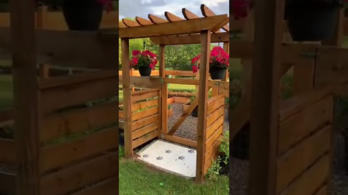 Garden design and decorations Garden design and decorations