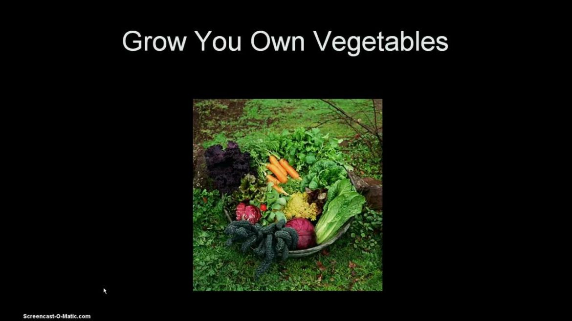 Organic Vegetable Gardening - Garden Plans