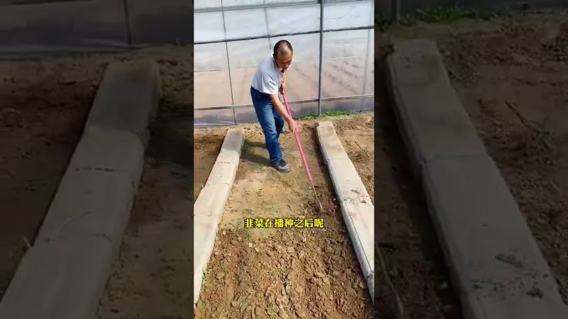 Episode 297 plant #shorts Episode 297 plant #shorts