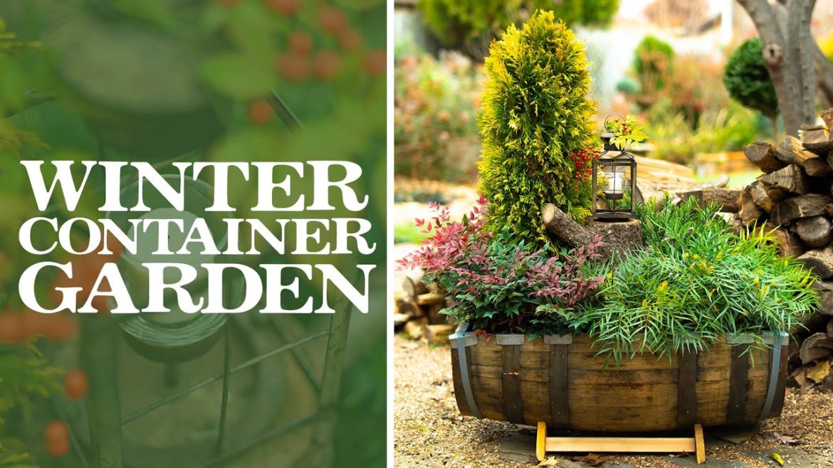 🎄☃️❣️ Plant a CHARMING WINTER CONTAINER Garden❗️|  Linda Vater
