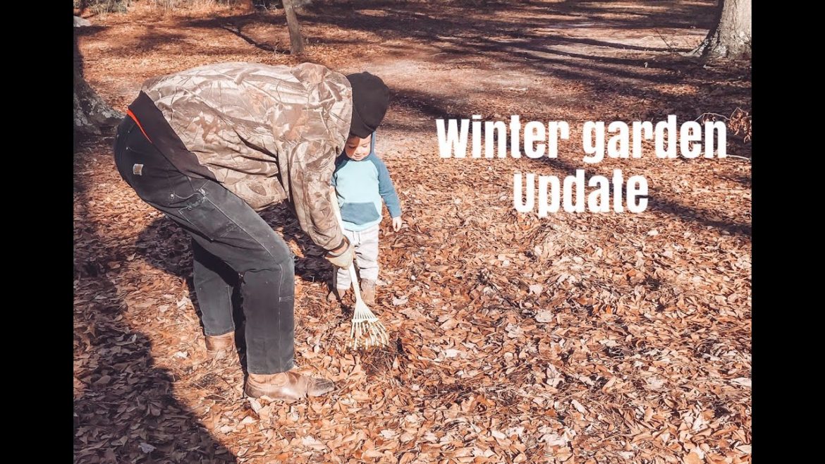 Winter garden update | Garden plans
