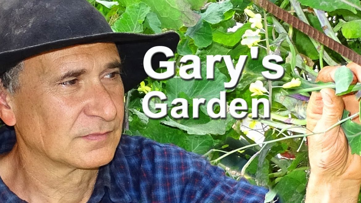 Permaculture Food Vegetable Garden LOW Maintenance, Growing Vertical & Container Gardening Raisedbed Permaculture Food Vegetable Garden LOW Maintenance, Growing Vertical & Container Gardening Raisedbed