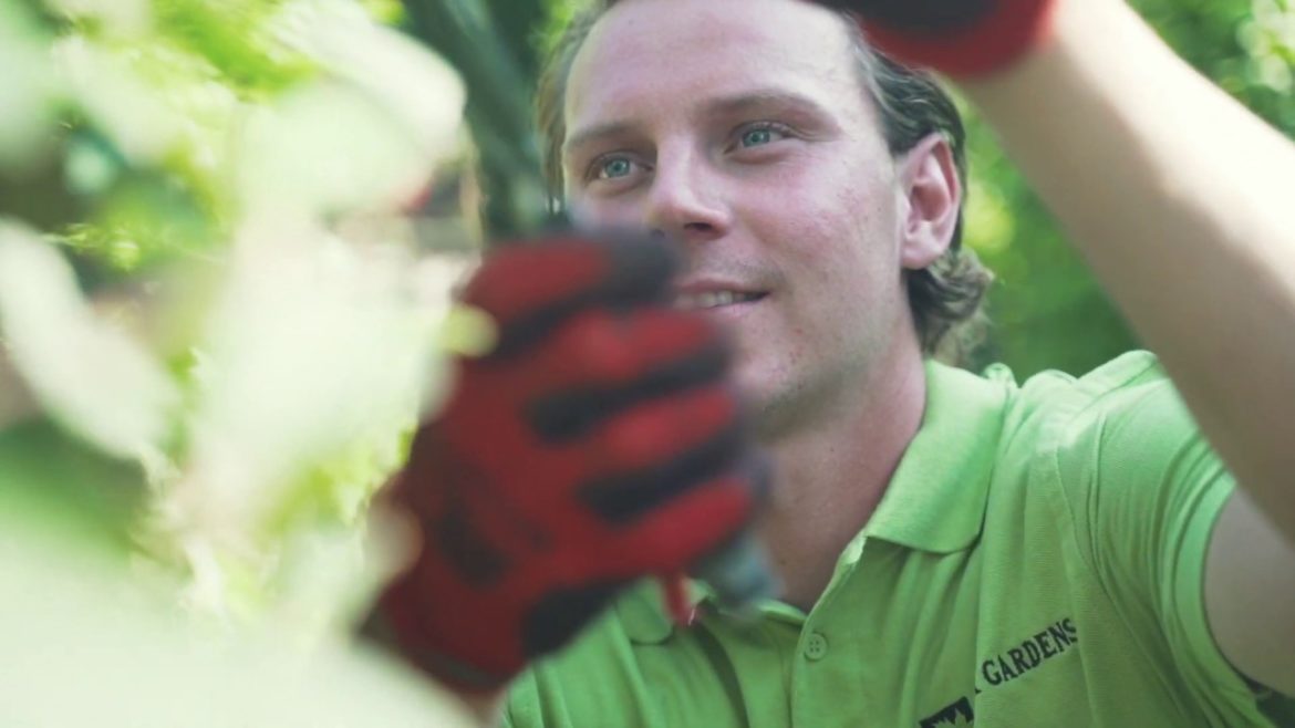 About Stock Gardens | Garden Design & Maintenance