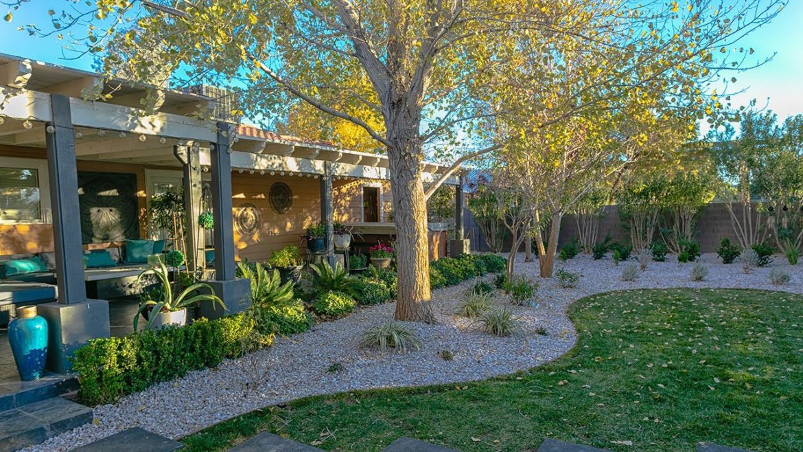 Beauty in a desert landscape