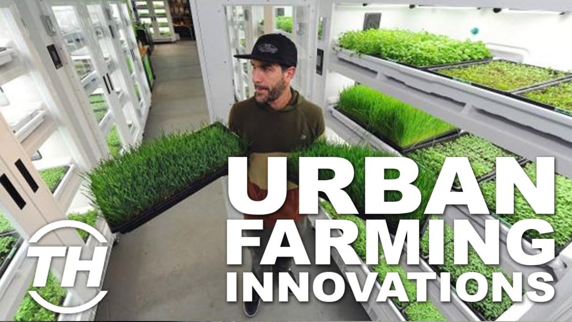 Top 4 City Gardening Solutions | Urban Farming Innovations Top 4 City Gardening Solutions | Urban Farming Innovations