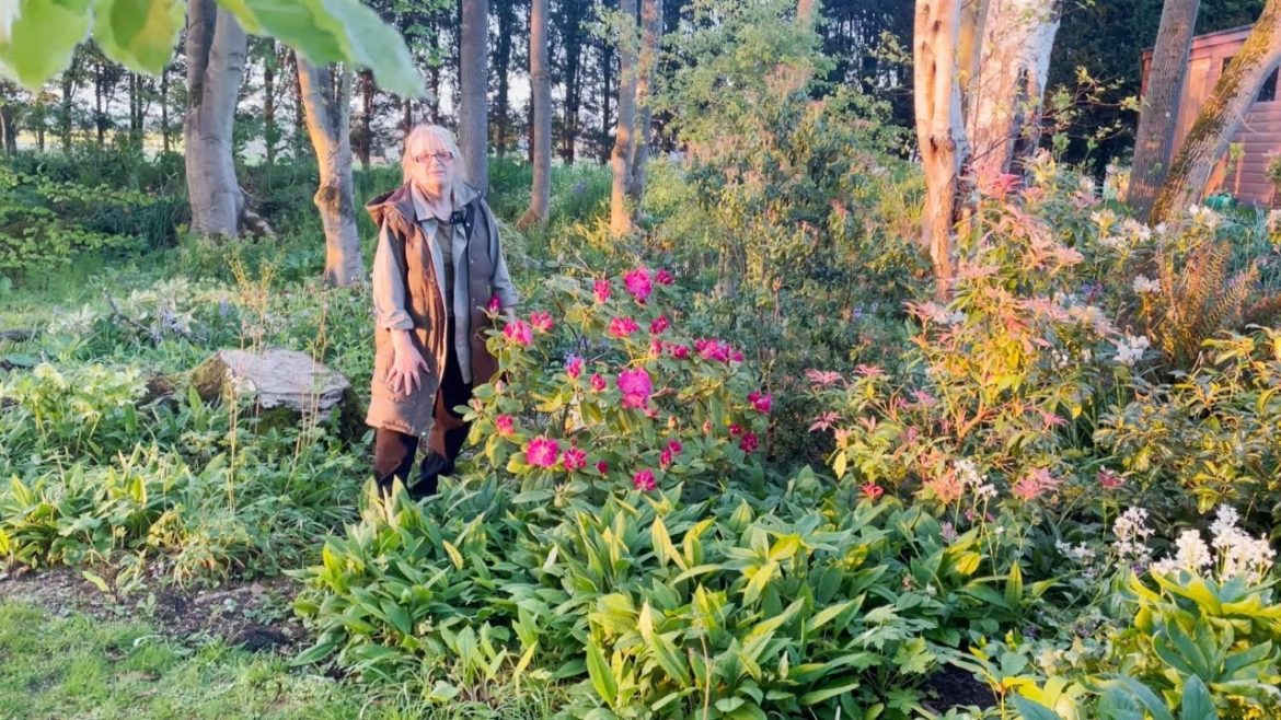 Planting Summer Perennials and Gardening with Wildlife in The Quarry Garden