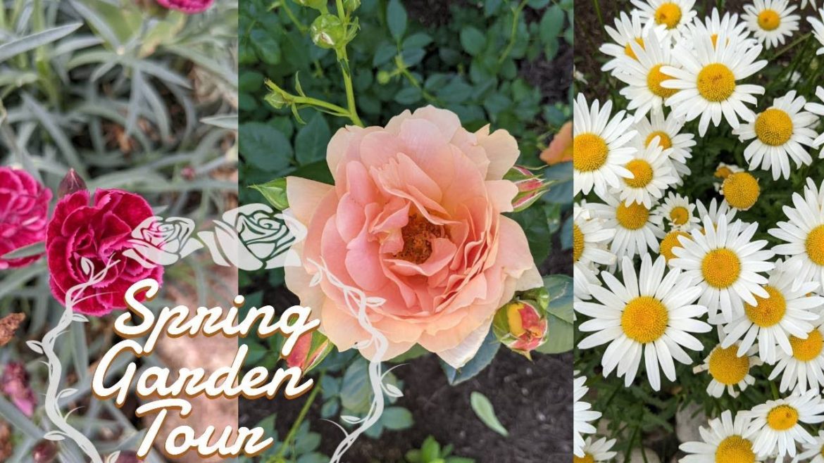 🌼 🌺Spring Flower Garden 2021 🌺🌼 | Front Yard Garden Ideas   // Lovely Garden